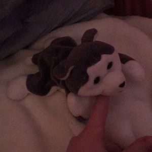 A husky puppy stuffed animal